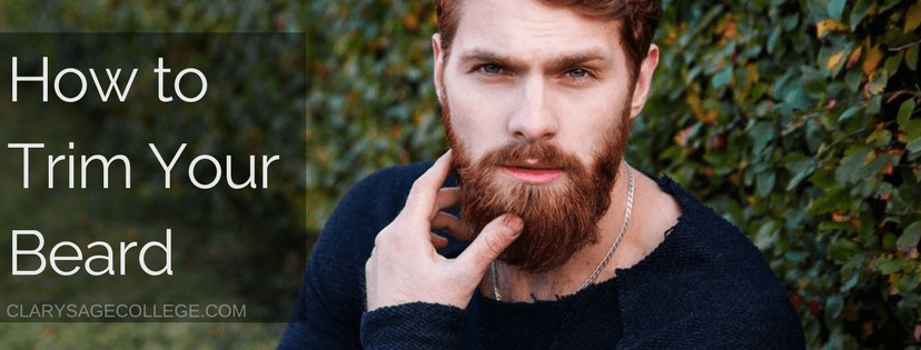 beard, trim, cut, style, face, men, groomed