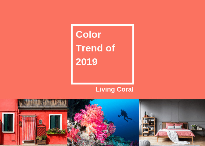 Color Trends of 2019